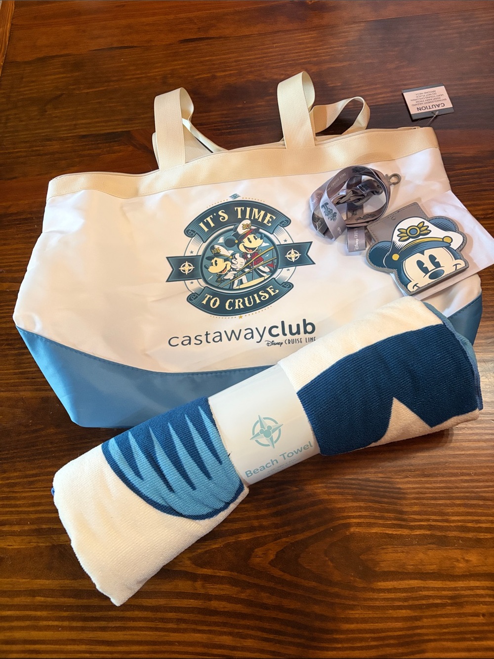 NWT Disney Cruise Line SILVER Castaway Club Tote Bag, single lanyard & Towel